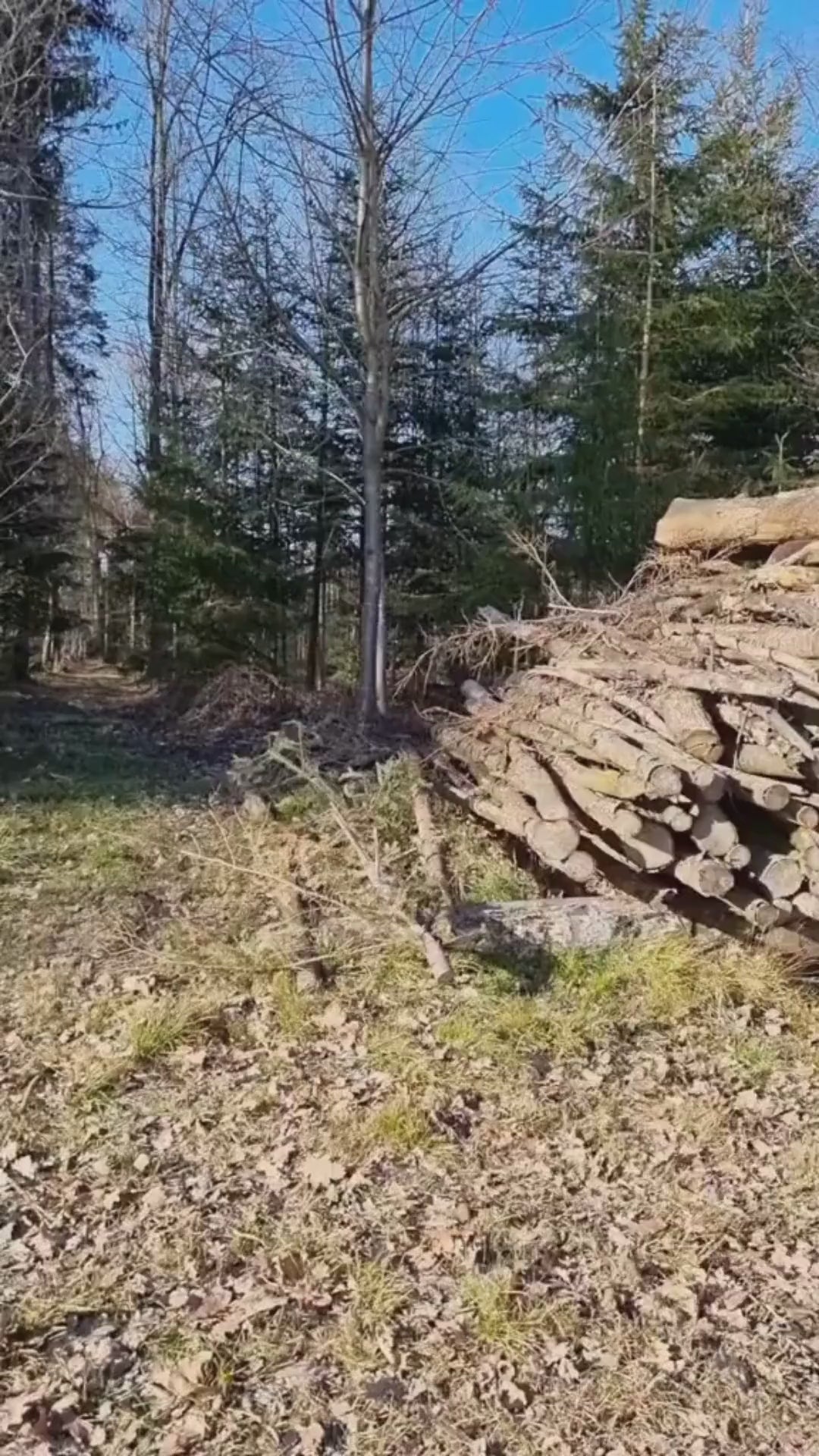 SPARTANHUB Premium Spartan Wallet – RFID-geschütztes Leder-Portemonnaie mit AirTag-Halterung, Karten-Pop-up und Münzfach in Aktion.