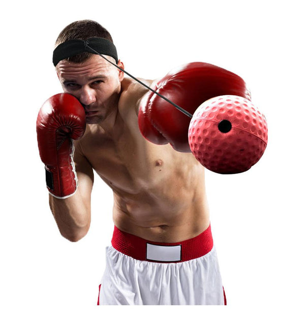 boxing-reflexball-set-spartanhub